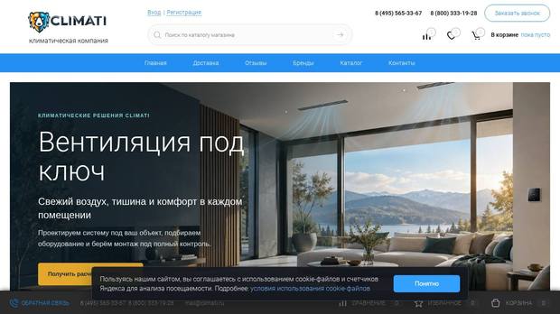 Сайт из ниши «Интернет-магазины», который разобрала платформа